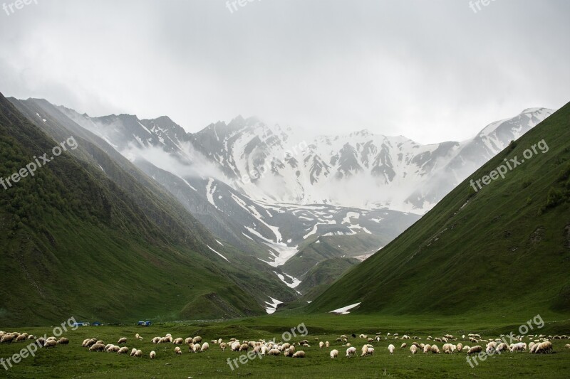 Sheep Mountains Fog Nature Landscape