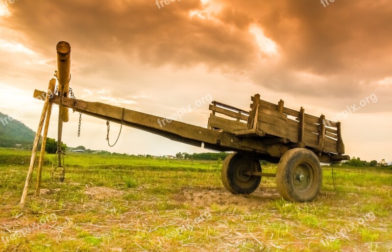 Car Cow Vehicle Shipping The Countryside Field