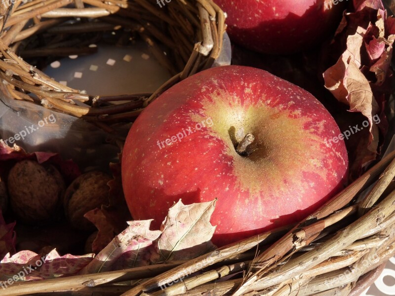 Apple Red Autumn Basket Ripe