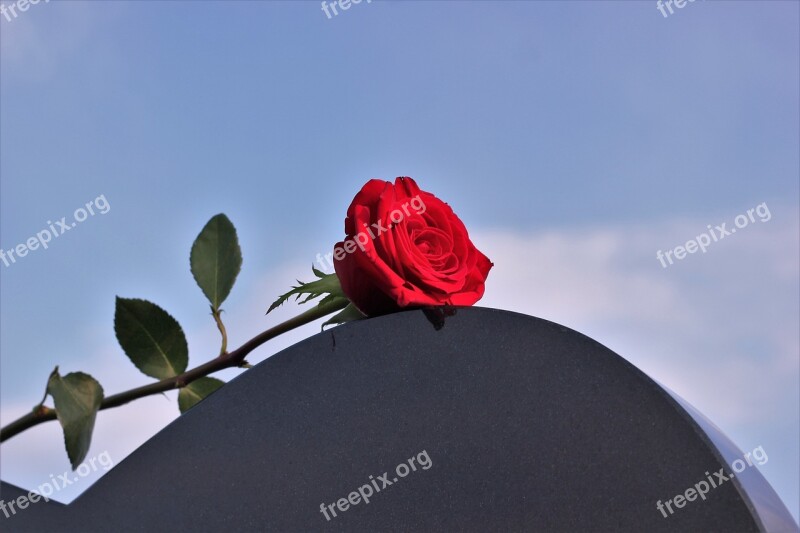 Red Rose Heart Gravestone Love Missing Black Marble