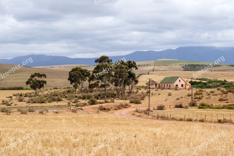 Landscape Agriculture Nature Scenic Agricultural