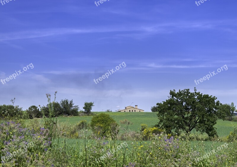 Prairie House Field Green Nature