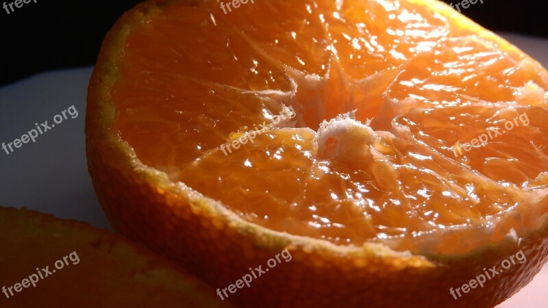 Orange Cut Fruit The Flesh Detailed