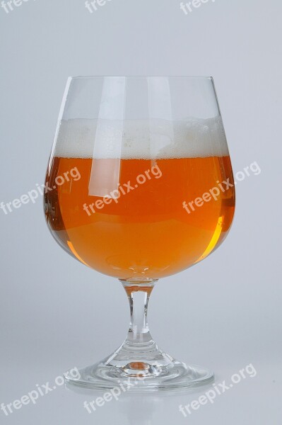 Beer Beer Glasses Current Photo Glass Light