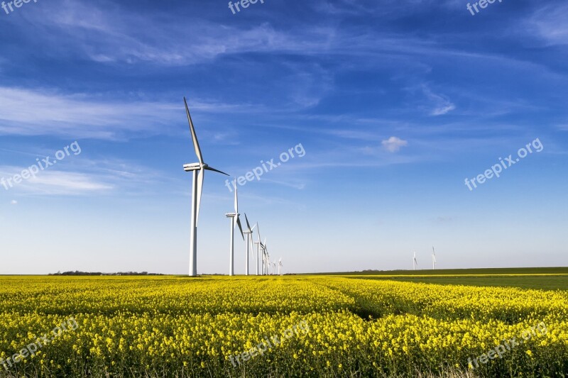 Oilseed Rape Field Of Rapeseeds Windmill Wind Power Sky