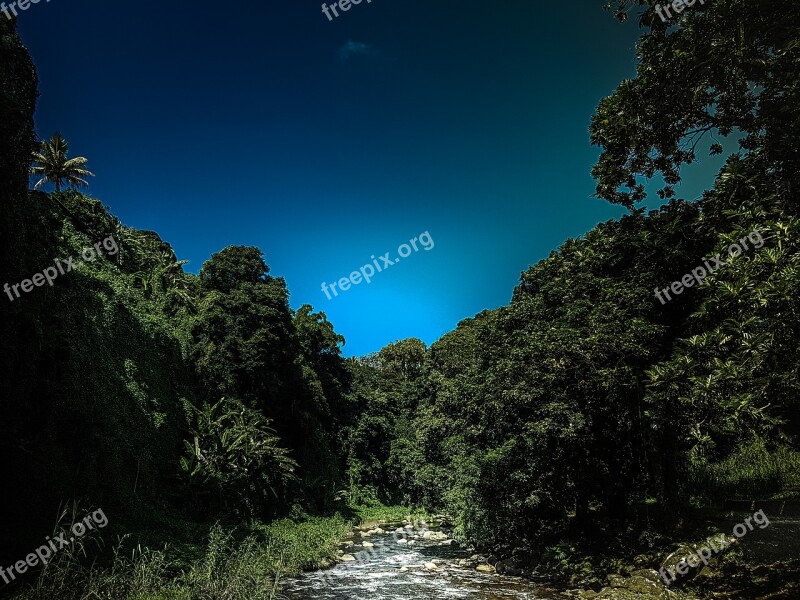 Sky Beautiful River Landscape Tree