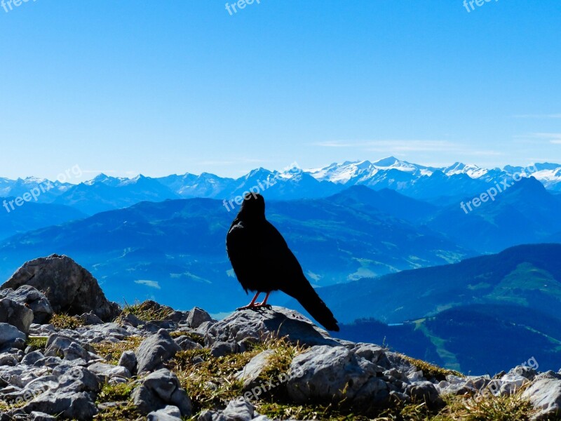 Jackdaw View Landscape Freedom Distant View