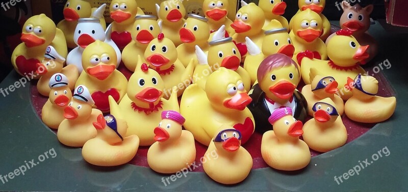 Rubber Ducks Toys Bath Ducks Ducks Souvenir Shop