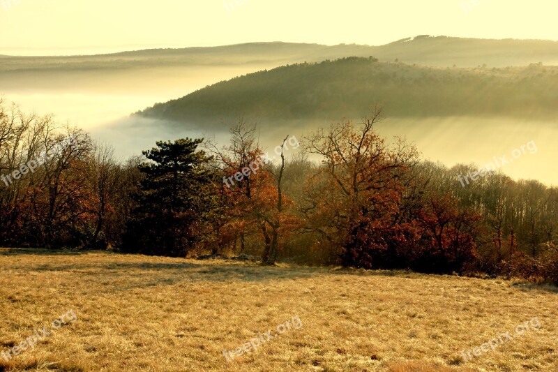 Fog Valle Forest Prato Nature