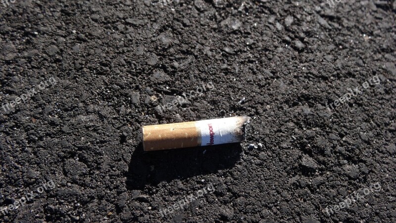 Cigarette Butt Pavement Road Litter Asphalt