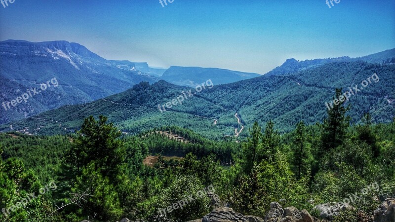 Nature Landscape Forest Myrtle Turkey