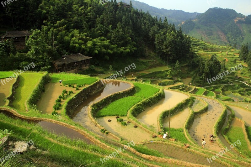 The Scenery Terrace Nature Farm Green