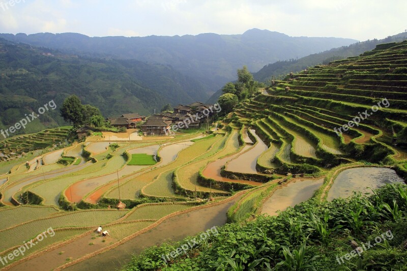 The Scenery Terrace Nature Farm Green