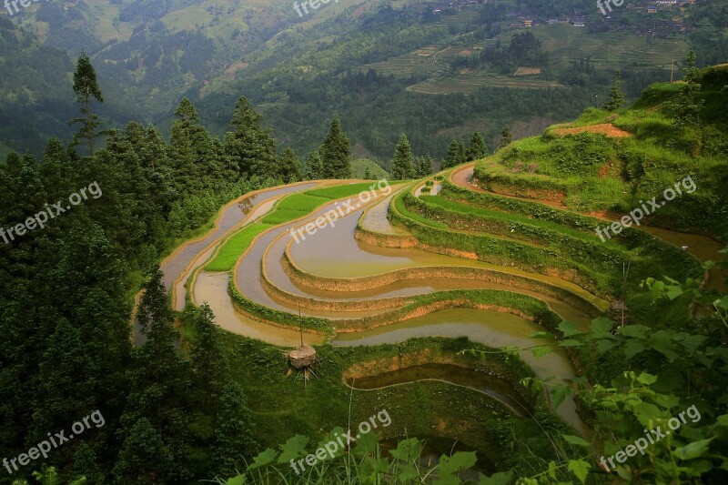 The Scenery Terrace Nature Farm Green