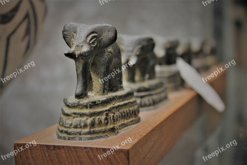 Elephants Tusk Ivory African Wildlife Trunk