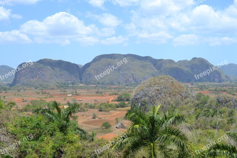 Cuba Vinalestal Nature Caribbean Palm Trees