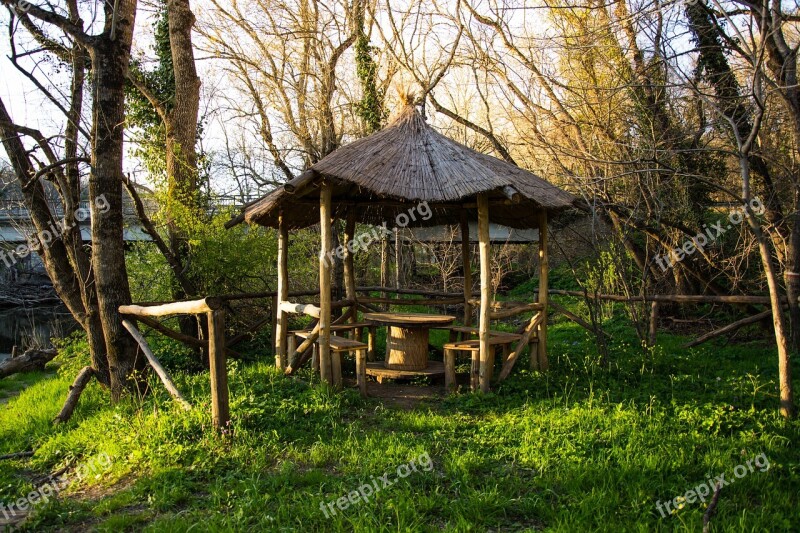 Cabin Woods Green Grass Spring