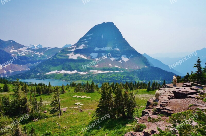 America Usa Montana Glacier National