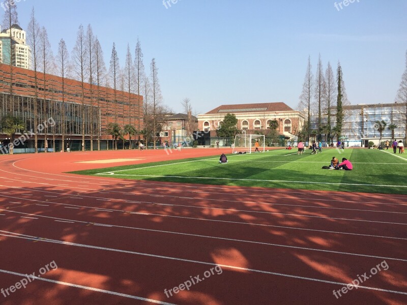 Stadium Shanghai Sunny Days Free Photos