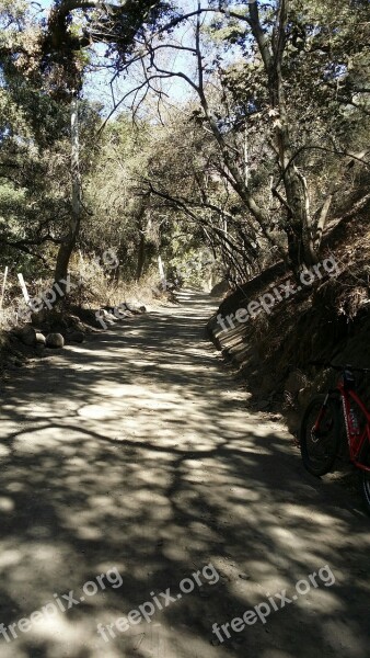 Hiking Trail Forest California Free Photos