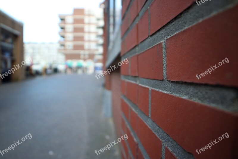 Wall Stone Close Up Blurred Background Rose