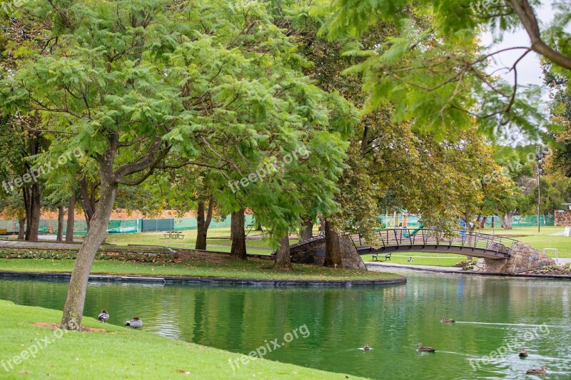 Park Green Tranquility Trees Peaceful