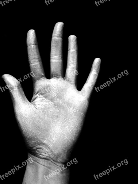 Hand Black And White Fingers Wrinkles Hand Lines