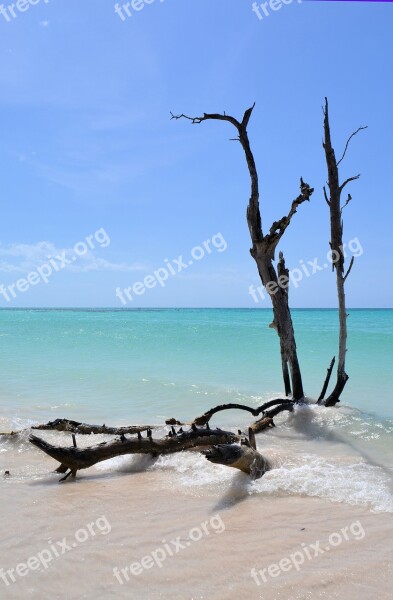 Cuba Caribbean Beach Water Atlantic