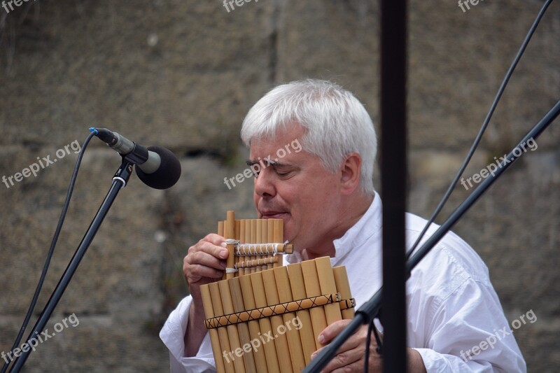 Pan Flute Artist Musician Concert Music