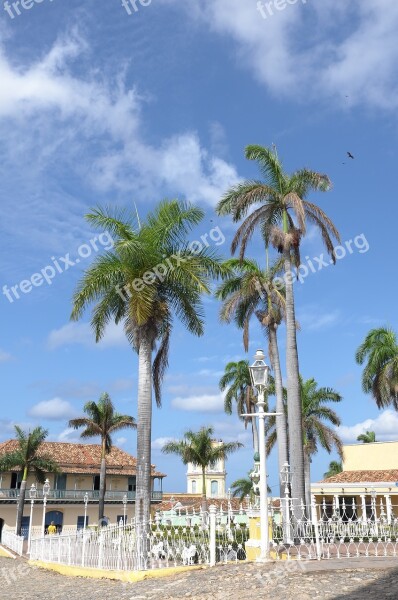 Cuba Trinidad Palms Free Photos