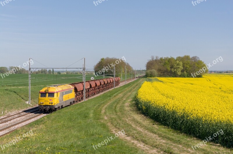 Train Bb 67200 Rapeseed Below Ballast