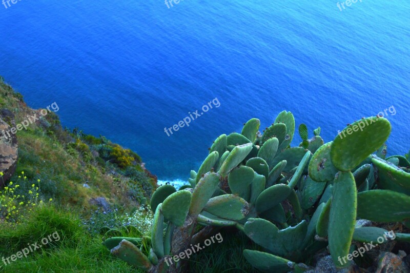 Rock Natur Atlantic Beach Cliffs