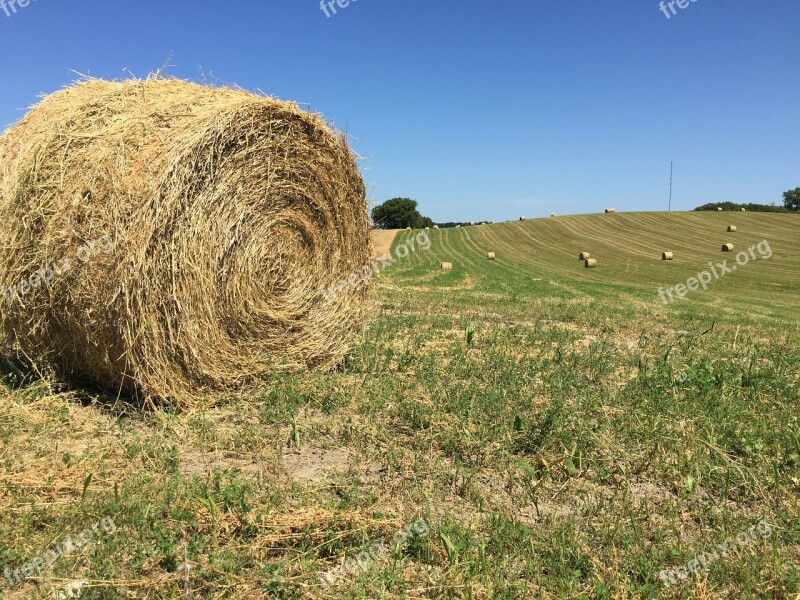 Round Hay Bale Big Round Bale Farm Scene Field Scene Rustic