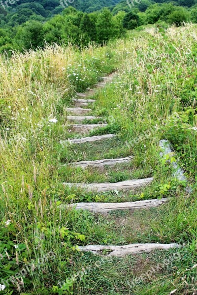 North Carolina Mountains Path Outdoors Scenery