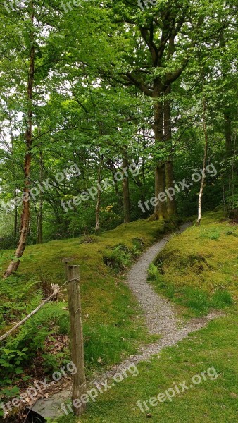 Path Country Walk Woodland Trail