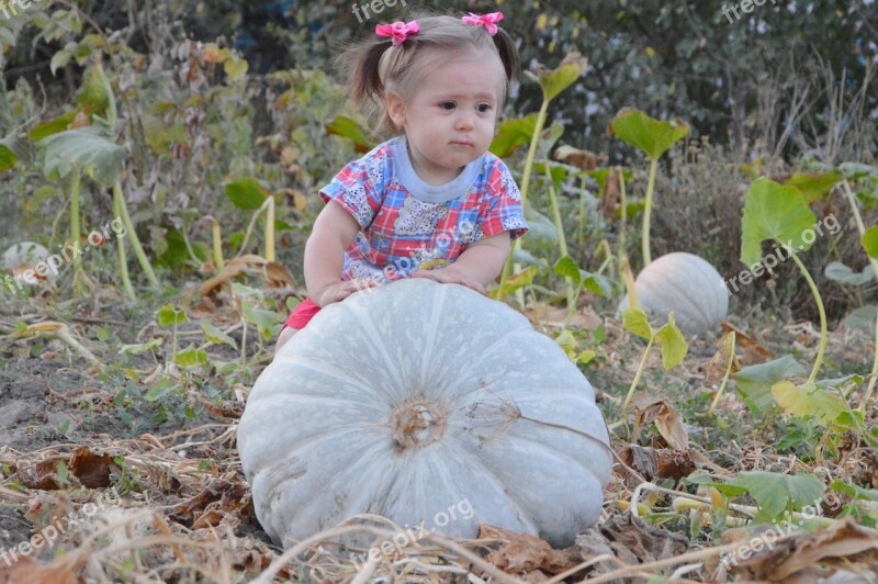 Girl Baby Harvest Pumpkin Autumn