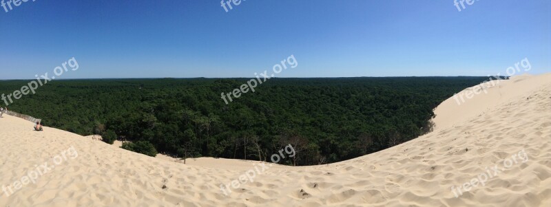 Dune Pila Vacancy Sand Forest