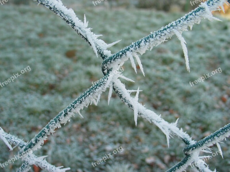 Fence Frost Winter Cold Frozen