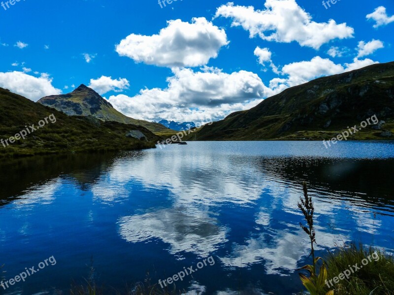 Tyrol Lake Sheep Siedel View Water