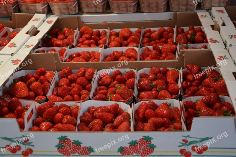 Strawberries Trays Red Fruit Red Fruits