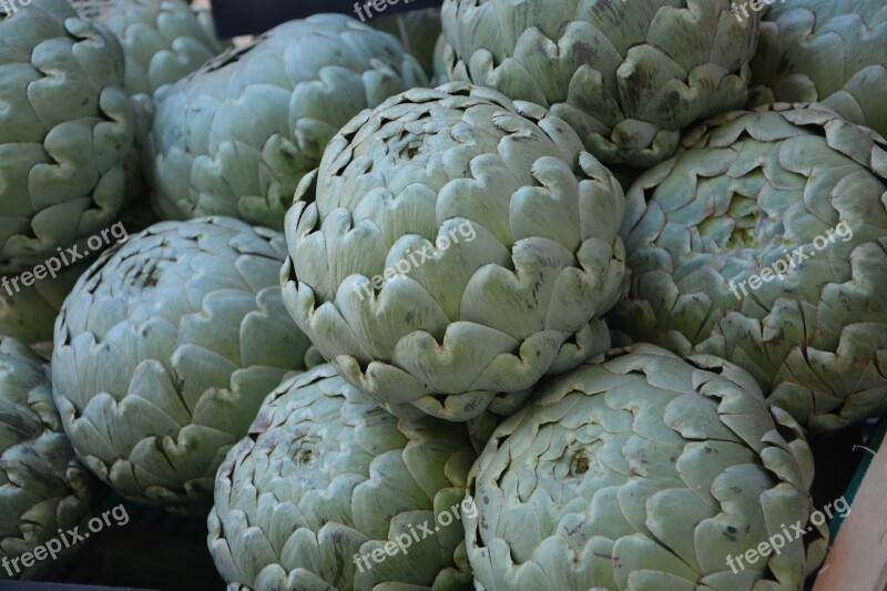 Artichoke Vegetable Vegetable Garden Plant Green