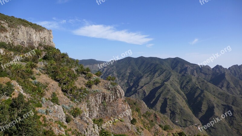 La Reptiles Canary Island Island Canary Islands Mountains