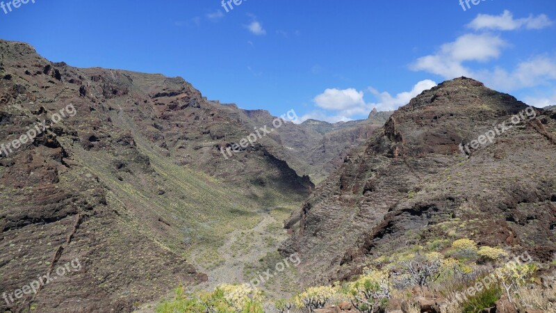 La Reptiles Canary Island Island Canary Islands Mountains