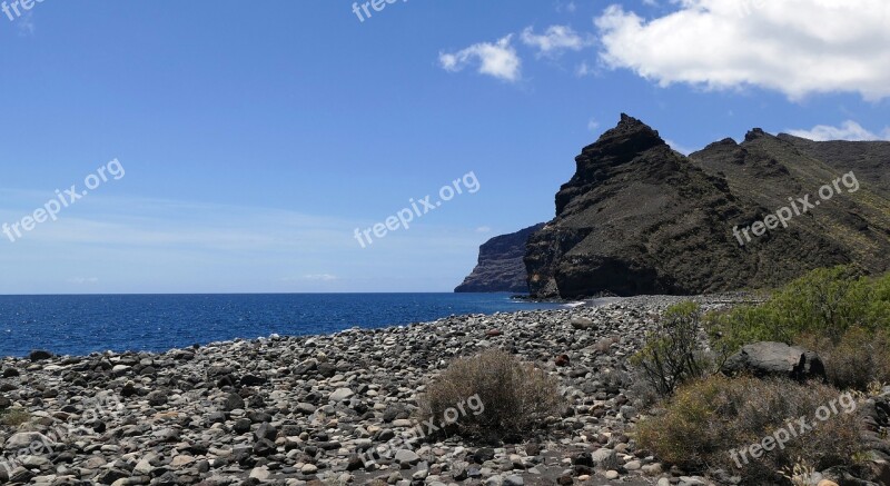 La Reptiles Canary Island Island Canary Islands Spain