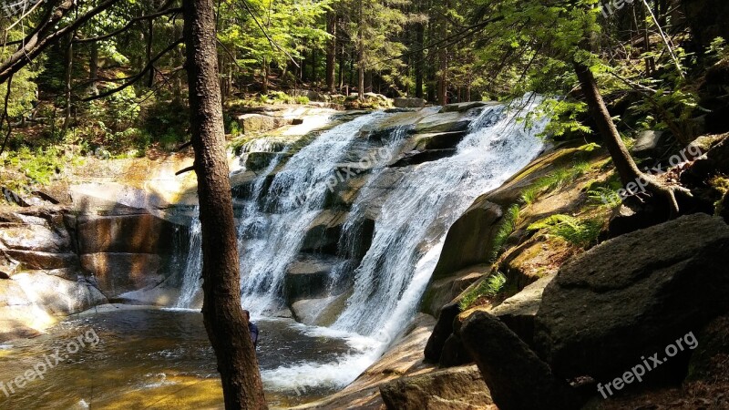 Forest Waterfall The Giant Mountains Nature Free Photos