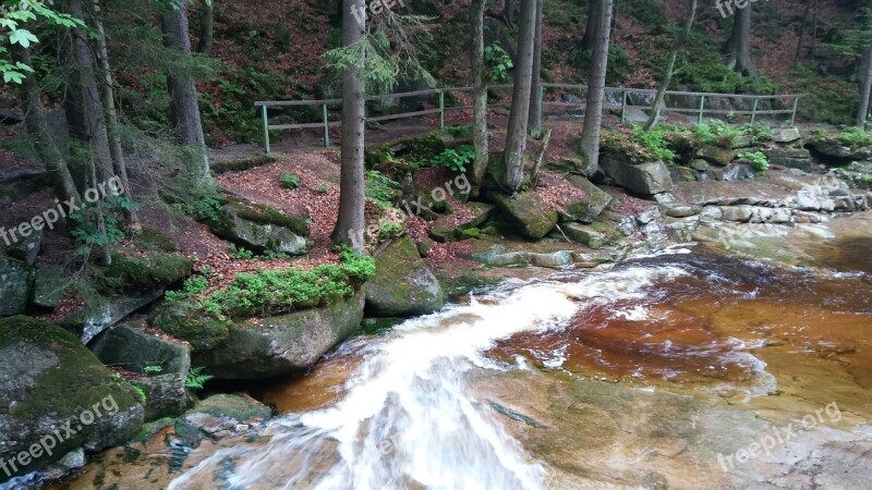 Harrachov Forest Water Path Nature