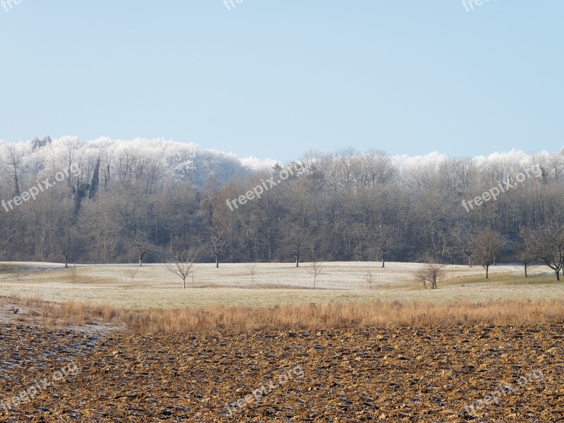 Field Landscape Nature Rural Tree