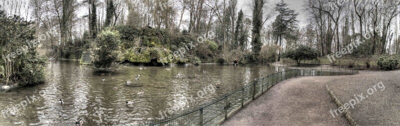 Public Garden St Omer Ducks Free Photos