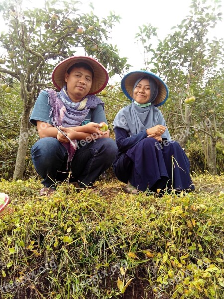 Farmer Couple Nature Countryside Free Photos