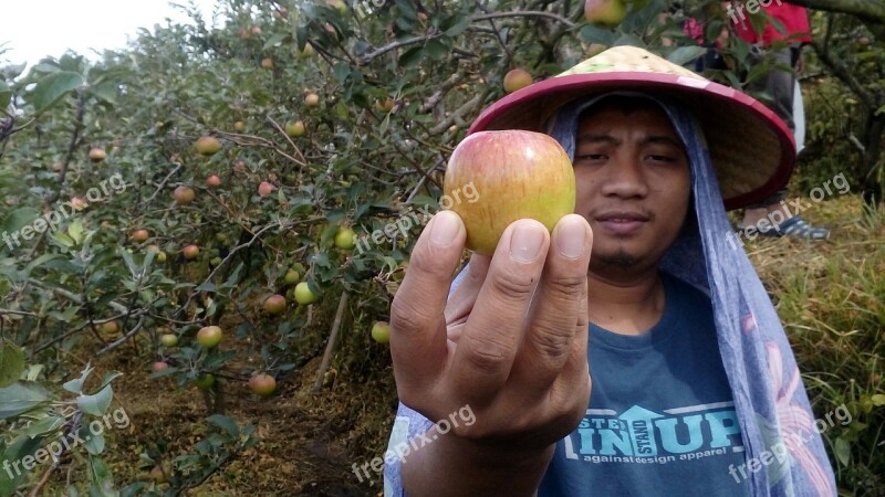 Farmer Apple Nature Green Farm